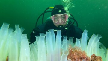 Nurkowa Norwegia - spotkanie